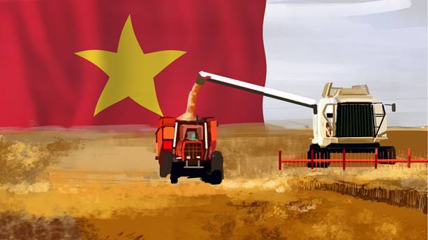 广西70万吨荔枝涌入市场,越南荔枝销往中国完整版