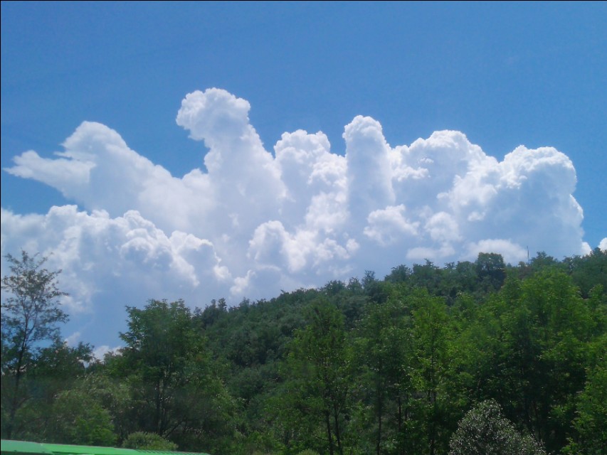 不是认怂而是一种涵养,学会认怂是对生活的一种态度