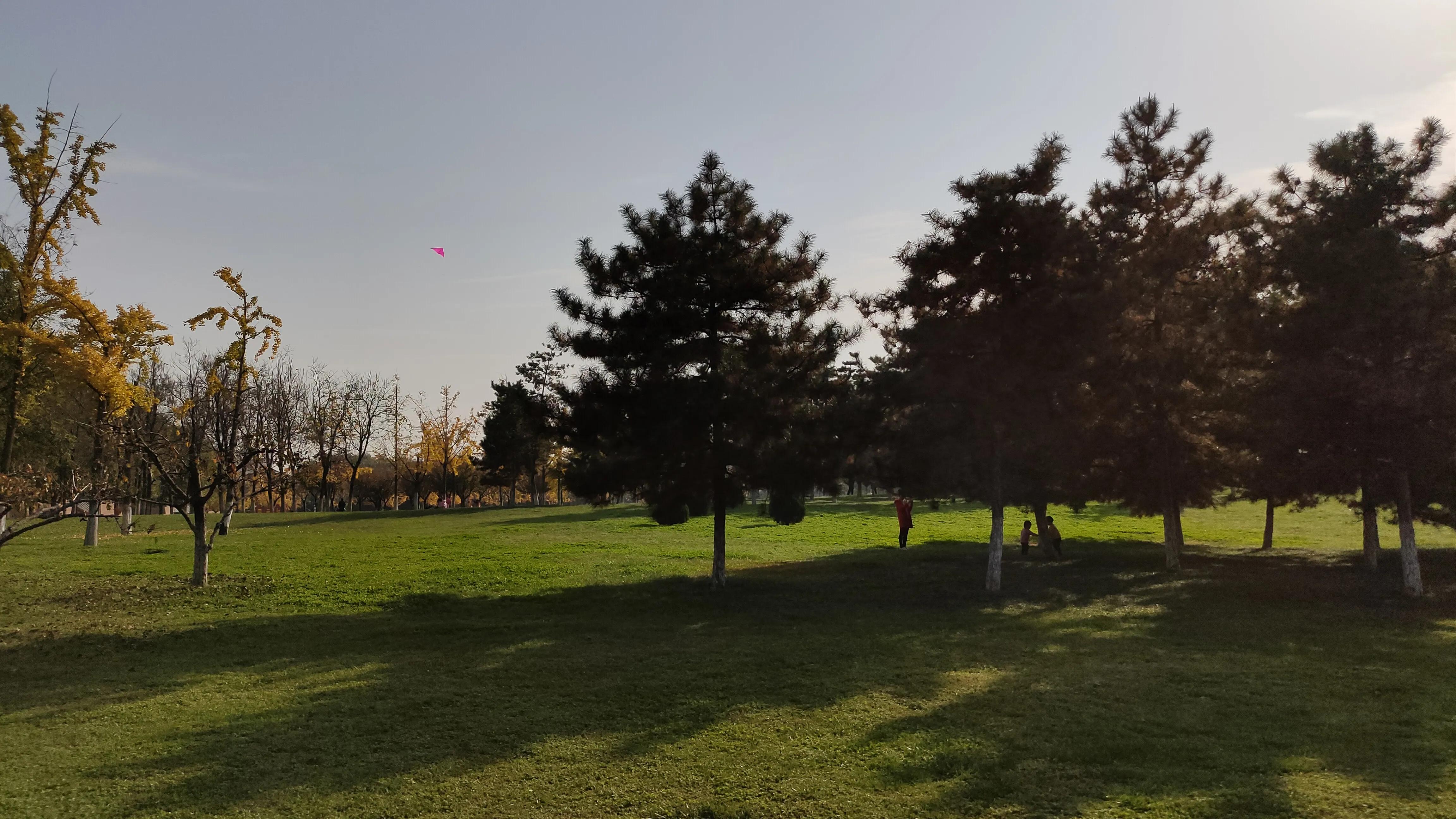 探寻西安大明宫国家遗址公园攻略,西安的大明宫遗址公园