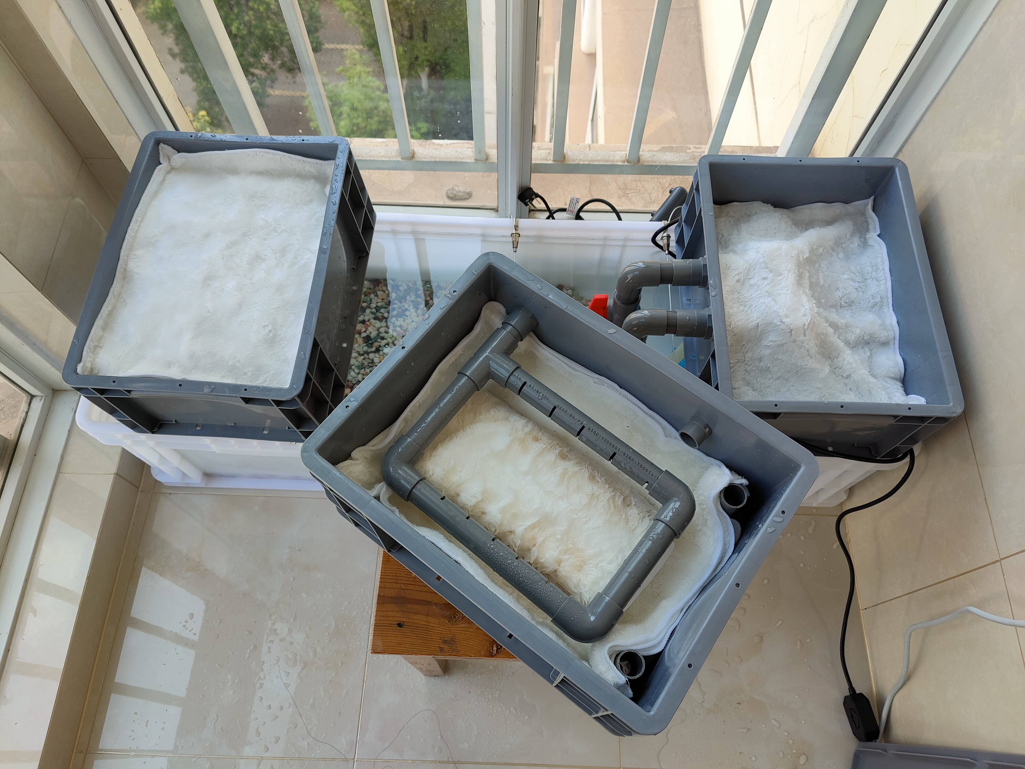 鱼缸的滤材细菌屋需要洗吗,鱼缸滤材多久洗一次最好