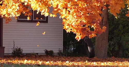 比特仑苏还纯的分享:那些治愈了生活,让幸福感爆棚的好物