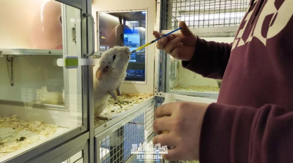 不去后悔去了更加后悔的景点,不去后悔去的景点