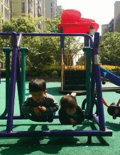 这只鹦鹉一直以为他是一只猴,所以每天都在重复做这个动作