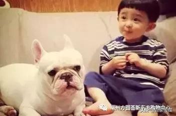 辣妈宝爸,宝妈宝爸连连看找小萌宝