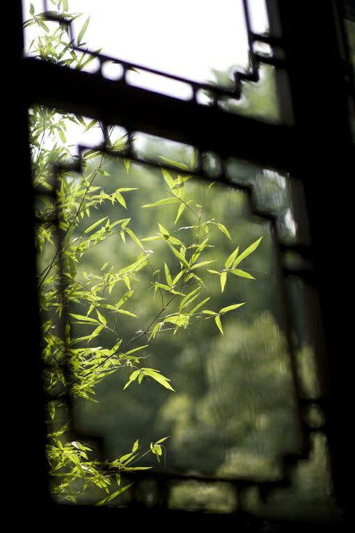 万象千景窗前，冰心一片