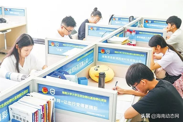 海南大学生创新创业成绩亮眼创新创业创青春
