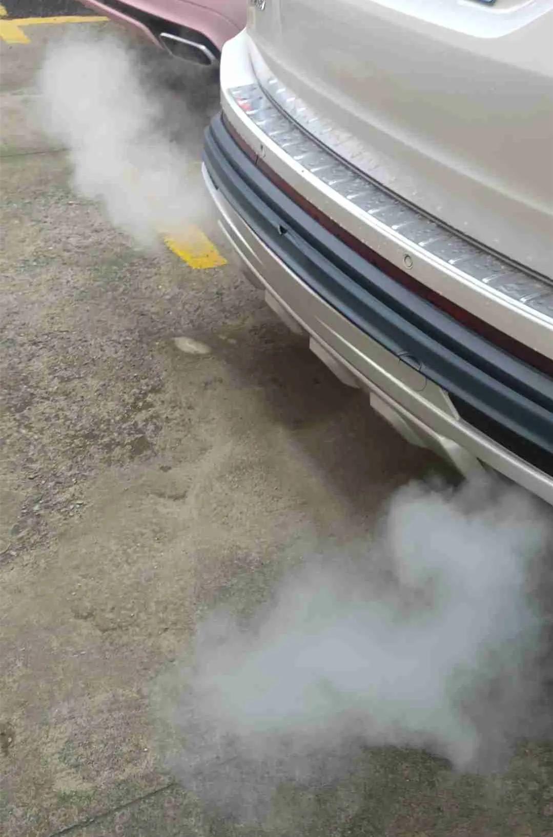 冷车启动怠速抖动并冒白烟,冷车启动发动机抖动尾气有味