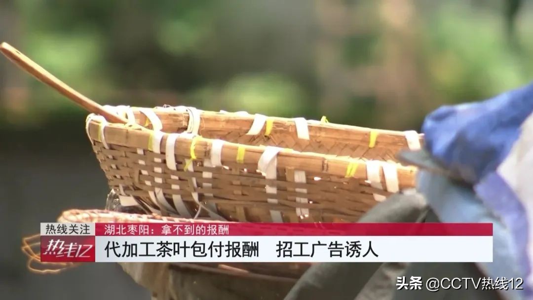 在家代工包装茶能月入过万?男子拖家带口干了一星期,仅收到100余元