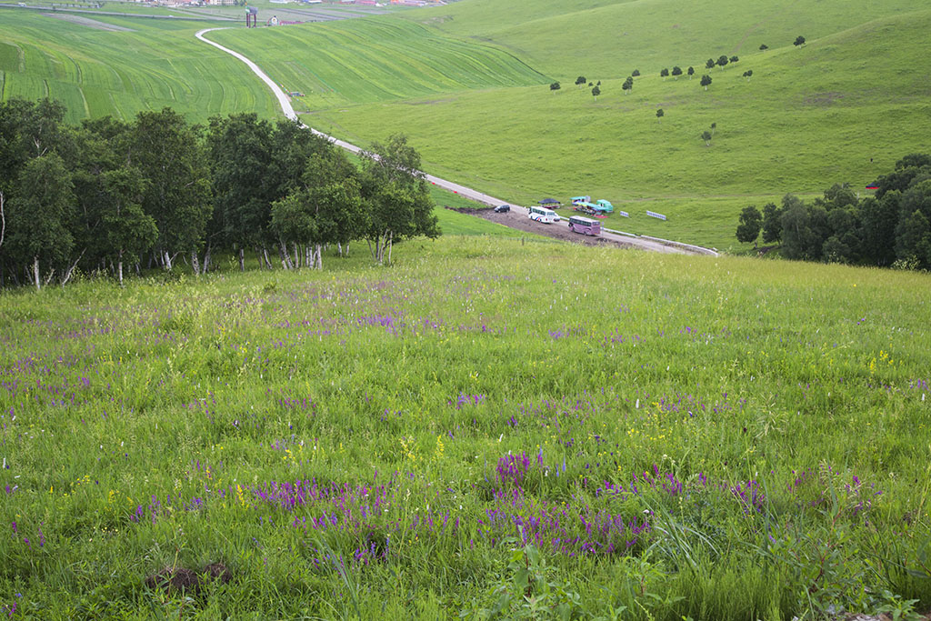 河北承德坝上草原京北第一草原,京北第一草原和坝上草原嘉年华