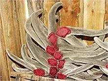 澳洲入境疫苗新规,澳洲入境带烟新规定