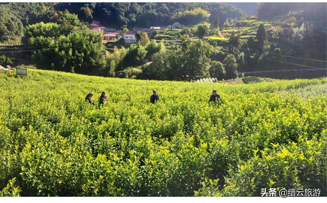 缙云景区拍照攻略视频,缙云风景拍摄