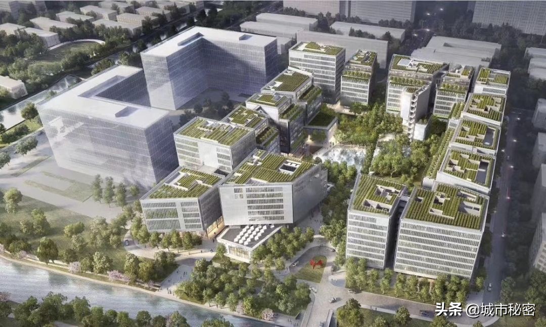 从学霸到赌王再到上市公司老总,浙大化学系学霸到服装公司上市