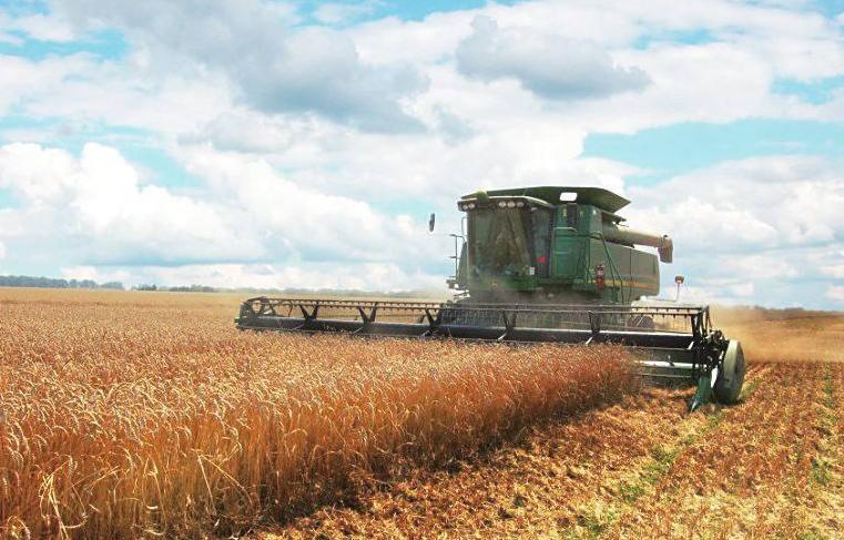 美国如何联手四大粮商,美国联合全球四大粮商