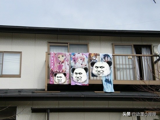 阿宅收藏被“公开处刑”，“老婆”折断只是初级，连遗物都要遭殃