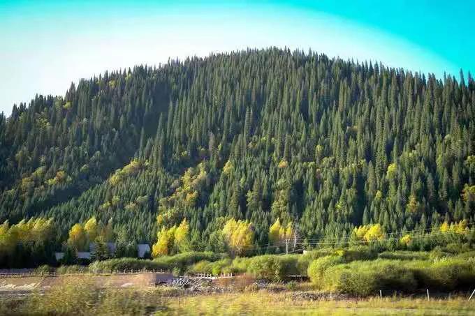 天津到独库公路自驾游攻略,最新新疆自驾游七日独库公路攻略