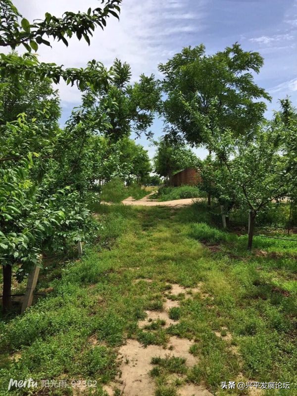 回忆过去珍惜现在展望未来,回忆过去珍惜现在的句子