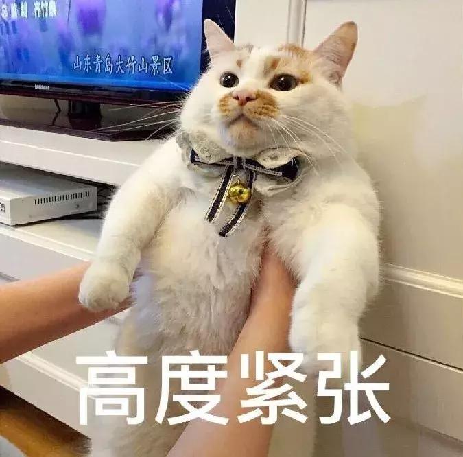 驱蚊器对猫咪的影响,驱蚊产品对猫咪有什么影响