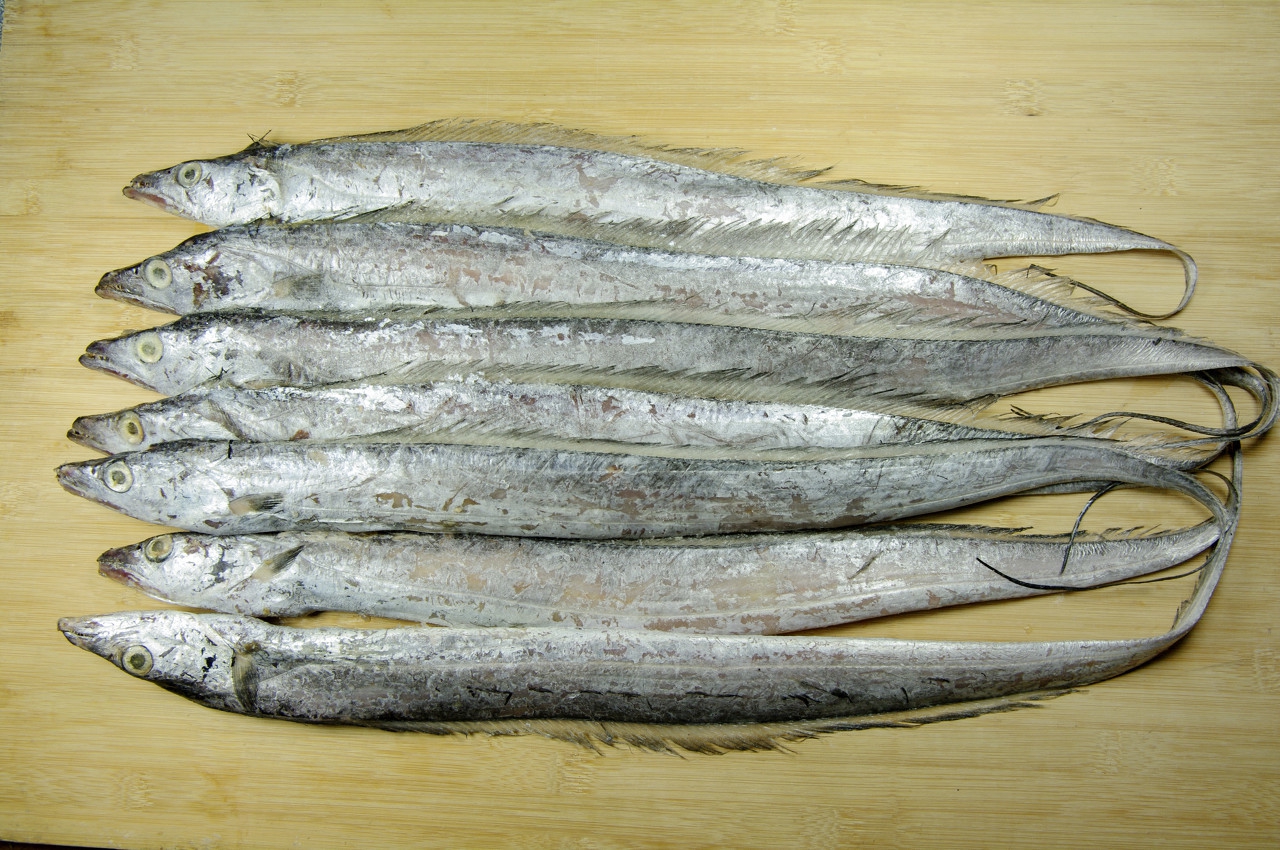 生鲜带鱼怎么挑选,新鲜带鱼选择