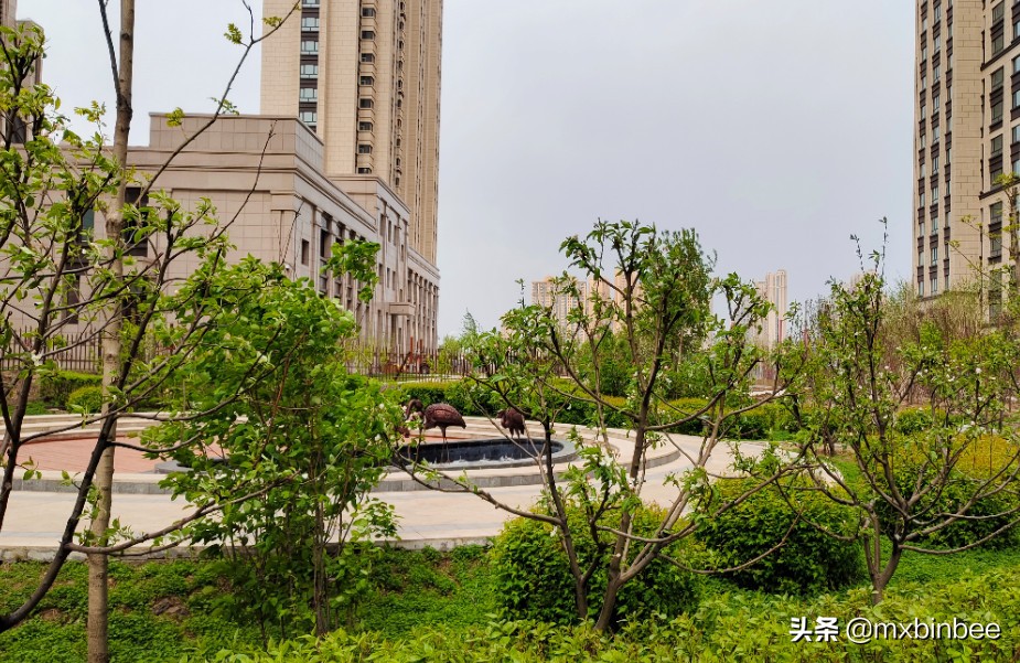 冉冉升起的明星们,哈尔滨金源蓝城效果图