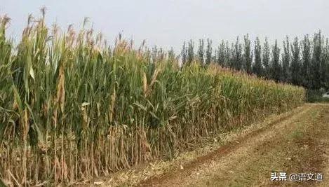 大连2022地铁民生实事,大连2022重大民生项目