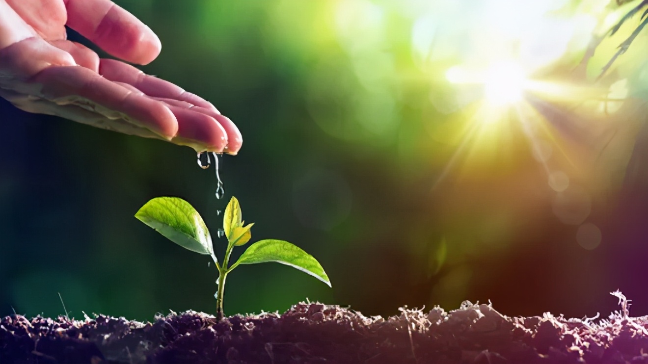 国际学校校长采访,国际学校校长深度解析