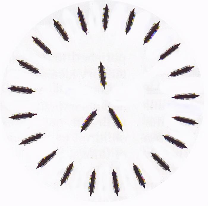 三排桨划动的古罗马战船,二千多年前古希腊有多大的战船