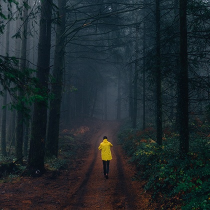 12生肖走出困境的方式,十二生肖的孤独等级有多高