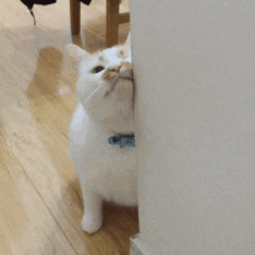 夜景人像图怎么调色比较高级,青蓝色调色夜景人像