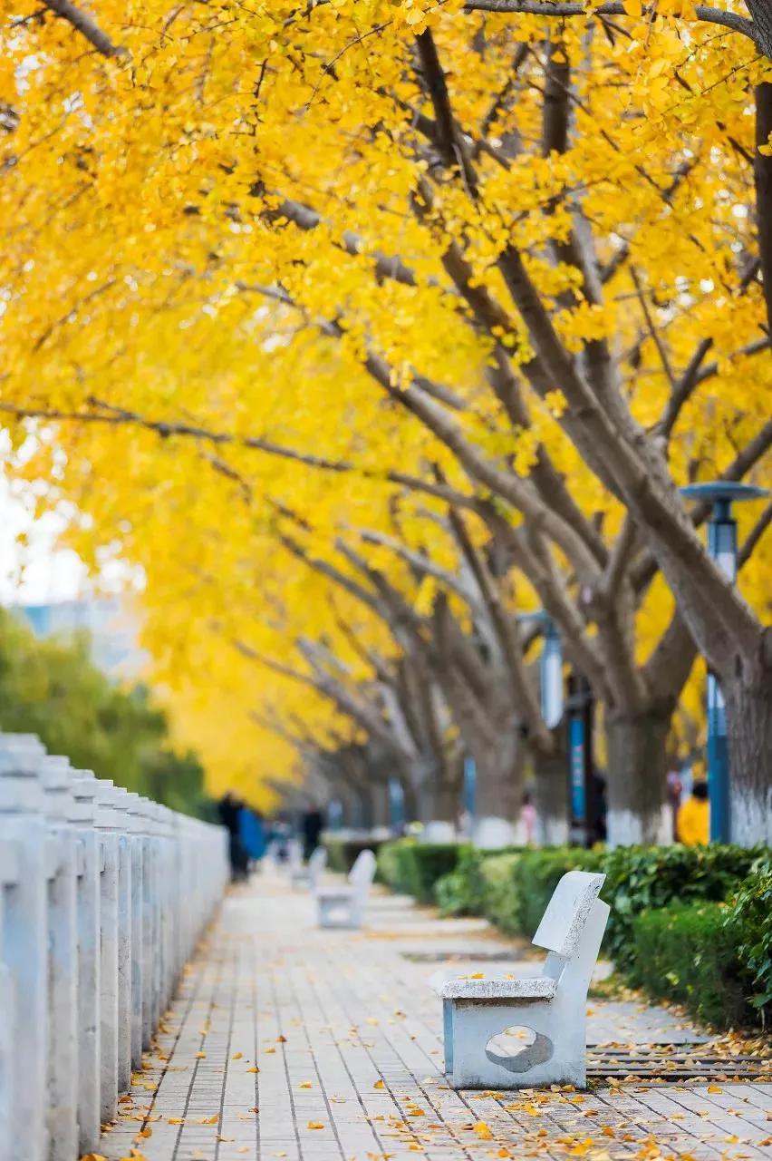 回不去的故乡到不了的远方句子,回不去的故乡到不了远方歌曲