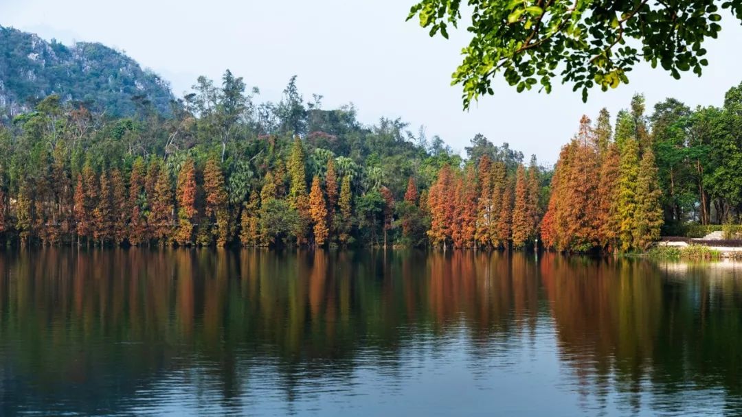 七星岩北门有什么景点,七星岩北门广场