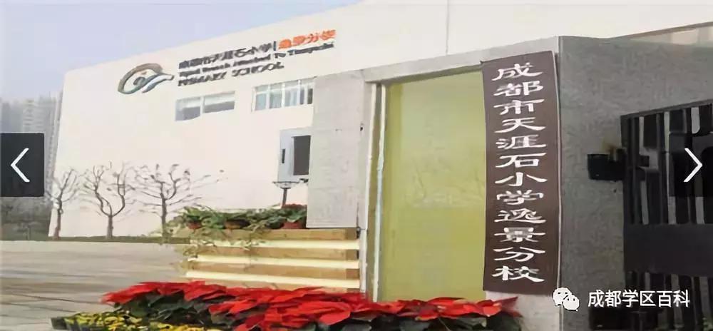 成都锦江四区学区分析,成都学区百科40强