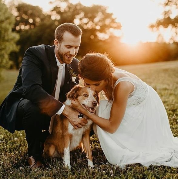 约会千万不要带狗,婚礼可以带狗吗
