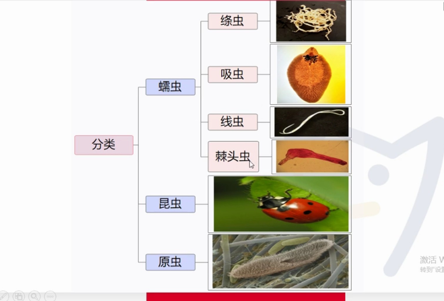 运用综合技术防控畜禽寄生虫病,动物寄生虫病防治技术教材