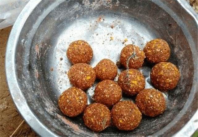 好多人都钓不到鱼,很多人钓不到大鱼