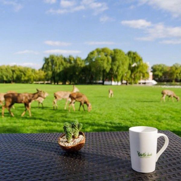 北京私汤温泉民宿攻略,北京温泉民宿小院4人