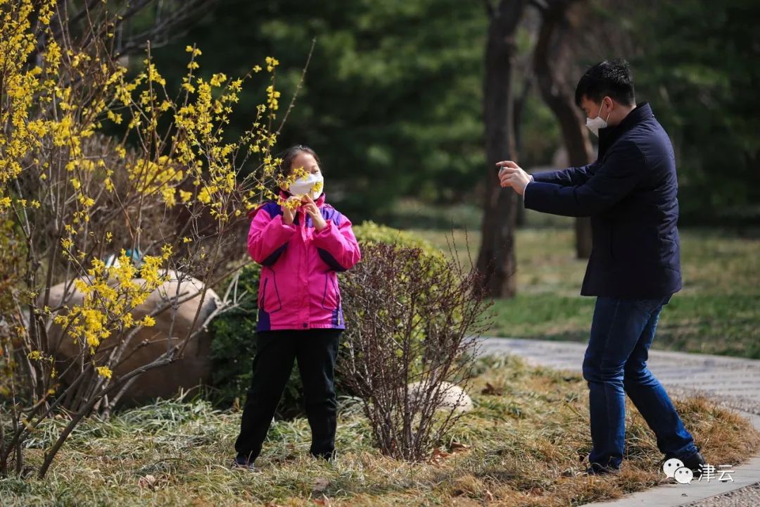 天津市今天哪个公园开放了,2020天津已开放的郊野公园