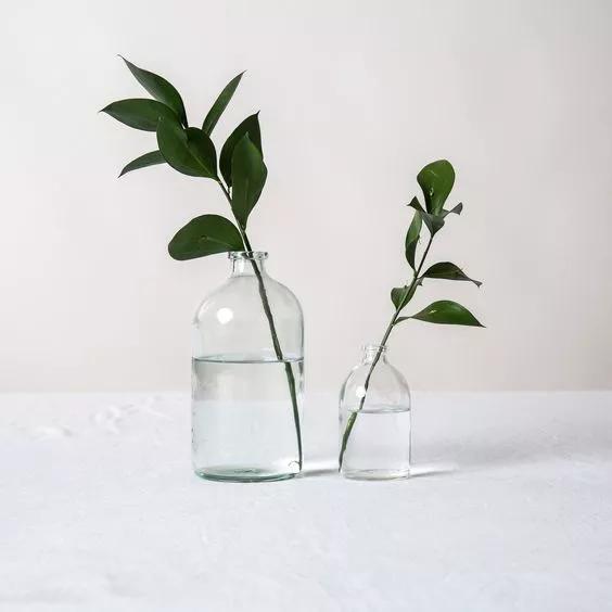 家庭药瓶花瓶插花教程,药瓶子插花