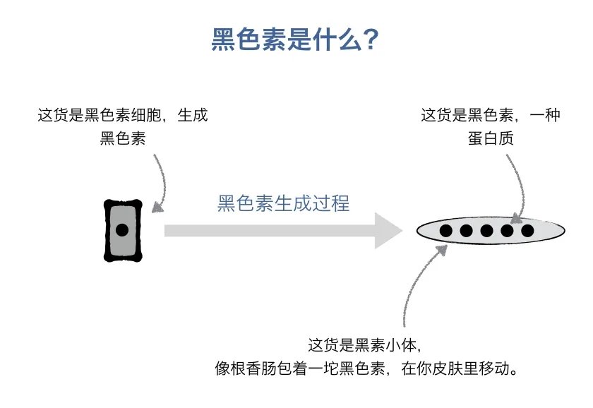 用了1000瓶美白精华也白不了？这难道就是所谓的“无效美白”