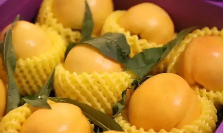 大荔美吗,大荔县的美