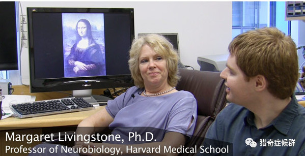 蒙娜丽莎为什么永远盯着你笑,蒙娜丽莎到底笑啥