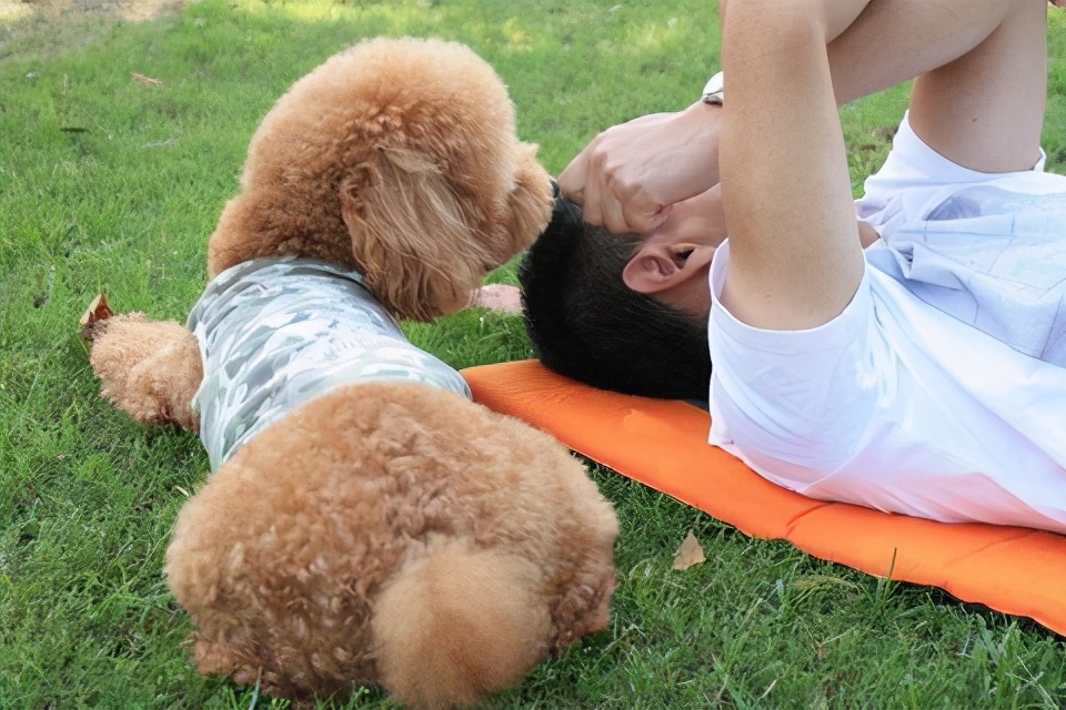 泰迪舔这几个地方是告诉你，有事要发生了