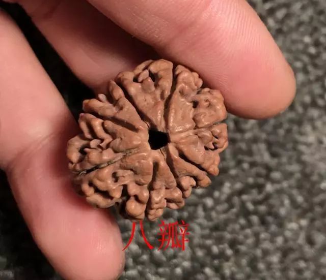 金刚菩提尼泊尔印尼区别,尼泊尔小金刚菩提子怎样快速变红