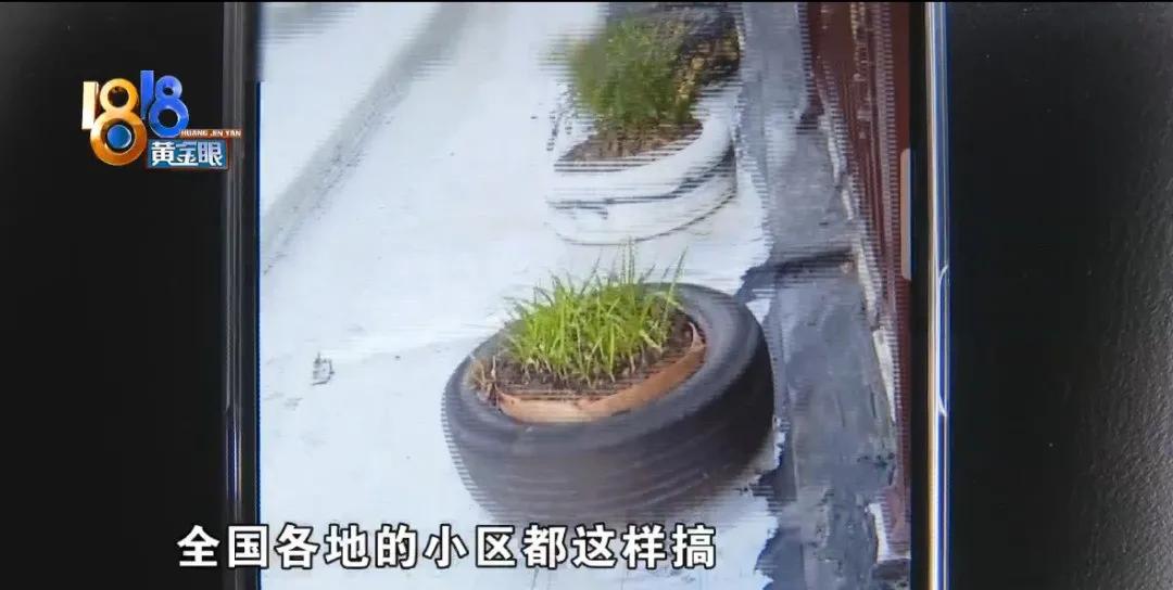 露台弄个小花园,露台上种花会把楼顶压塌吗