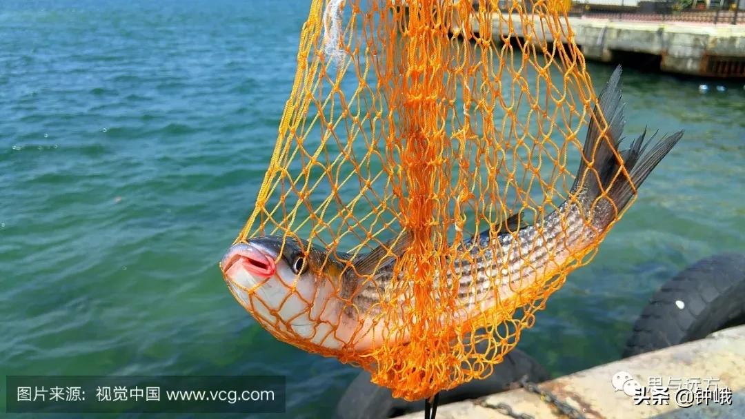 “浦”的水边记忆