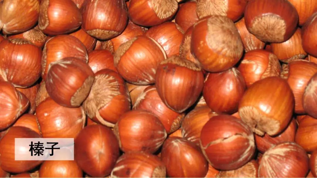 五年级语文第17课松鼠讲解,五年级上册第17课松鼠教材详解