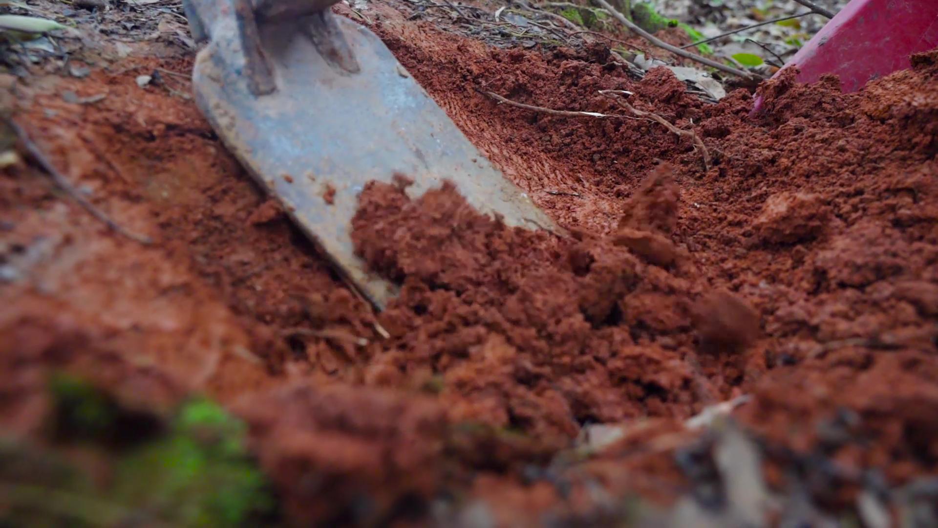 怎么腌制流油的咸鸭蛋窍门,不流油的咸鸭蛋腌制方法