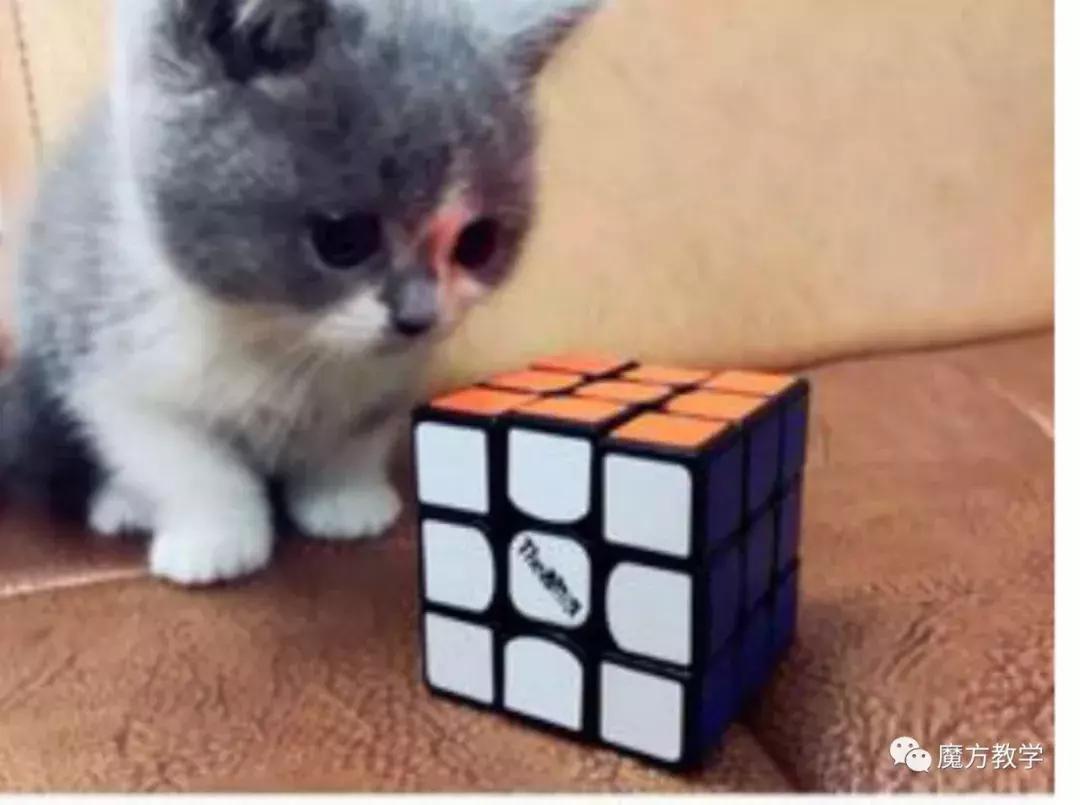 零基础学魔方儿童,零基础学会魔方超详细好看视频