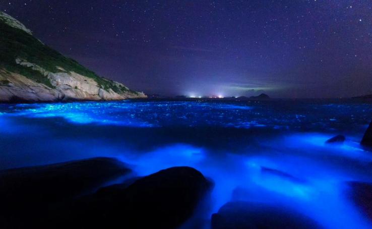 离上海近的荧光海,离上海很近的海