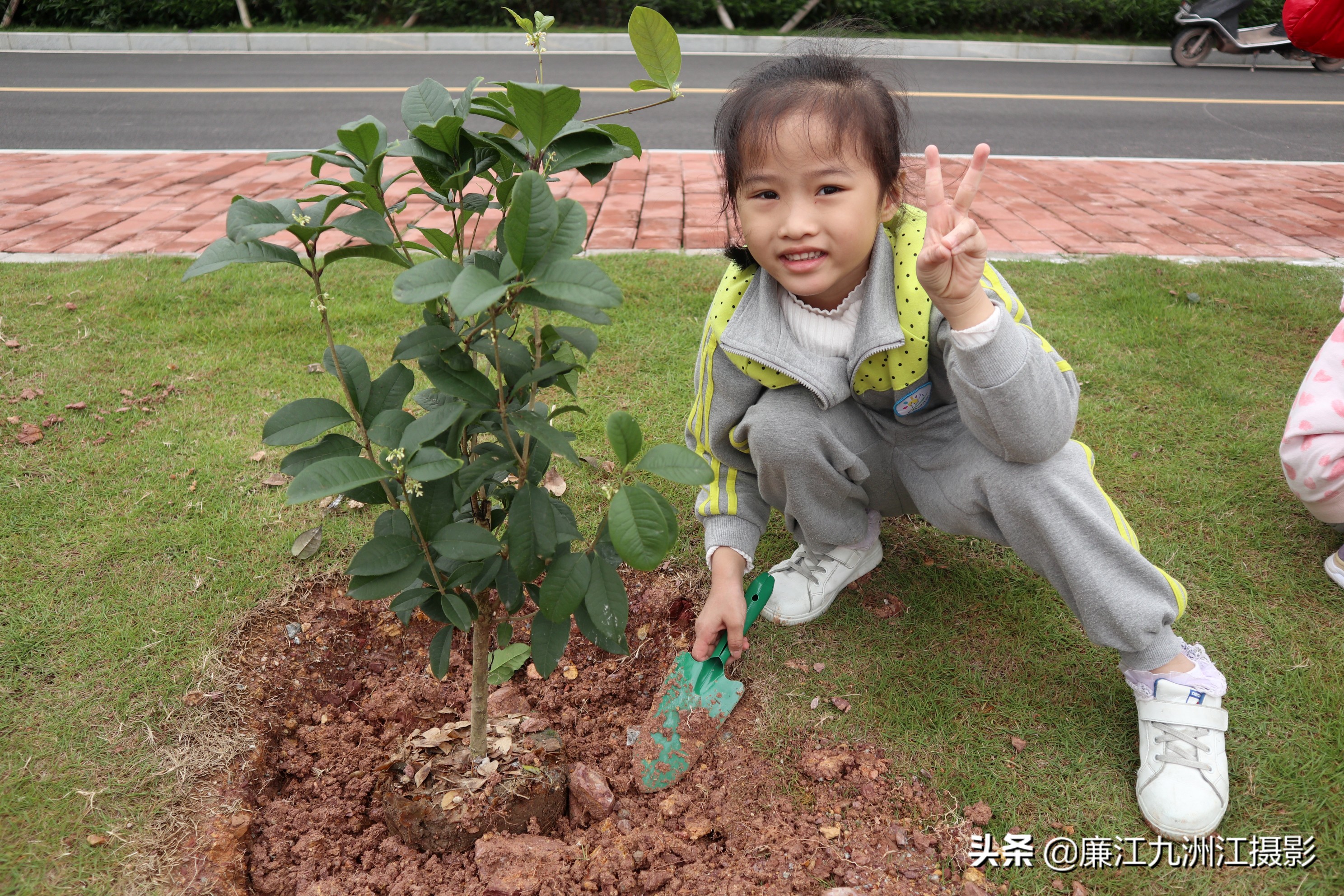 种下希望让梦想发芽舞蹈,种下希望让梦想发芽