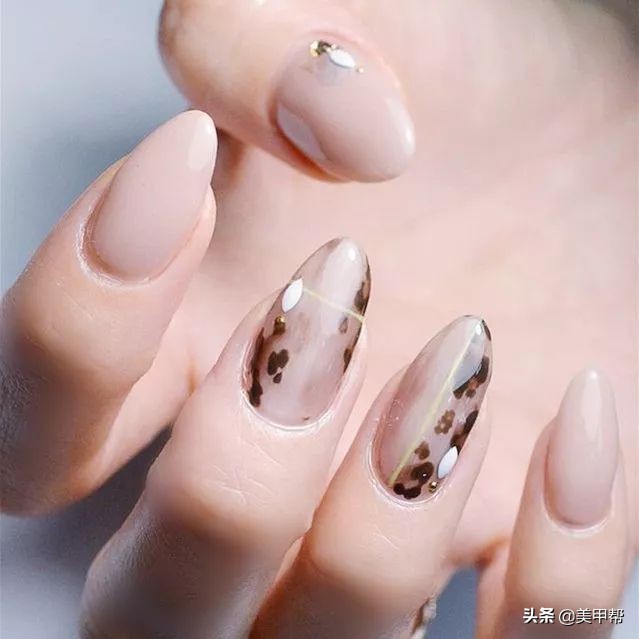 日系琥珀豹纹甲,豹纹甲推荐